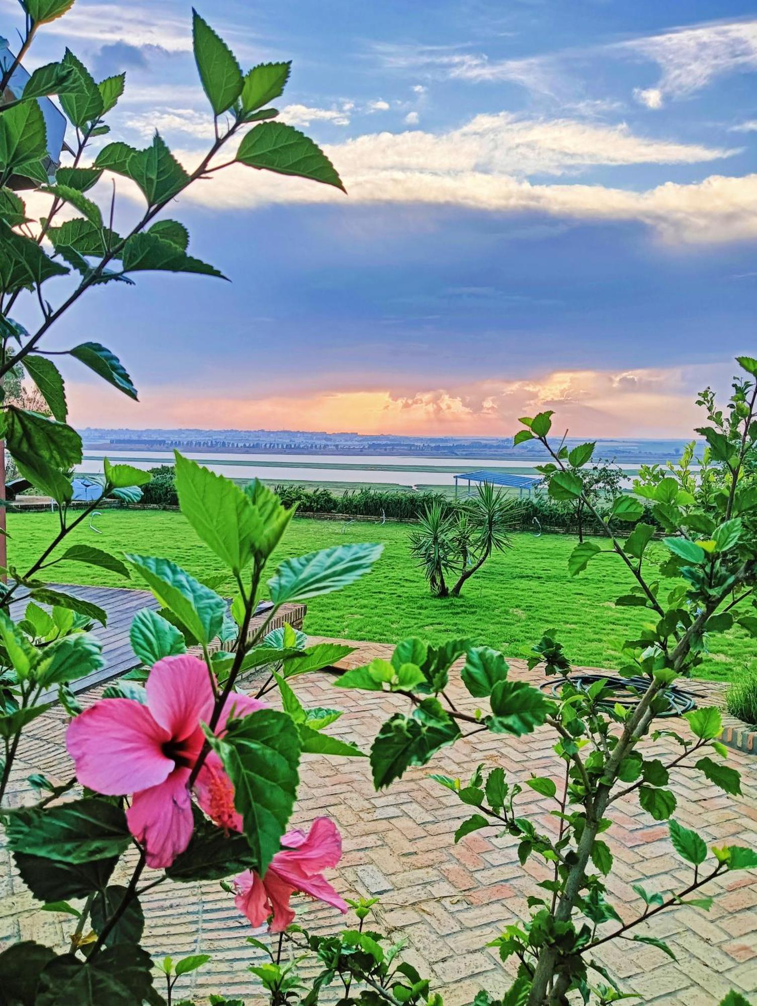 Finca Mis Morenas パロス・デ・ラ・フロンテーラ エクステリア 写真