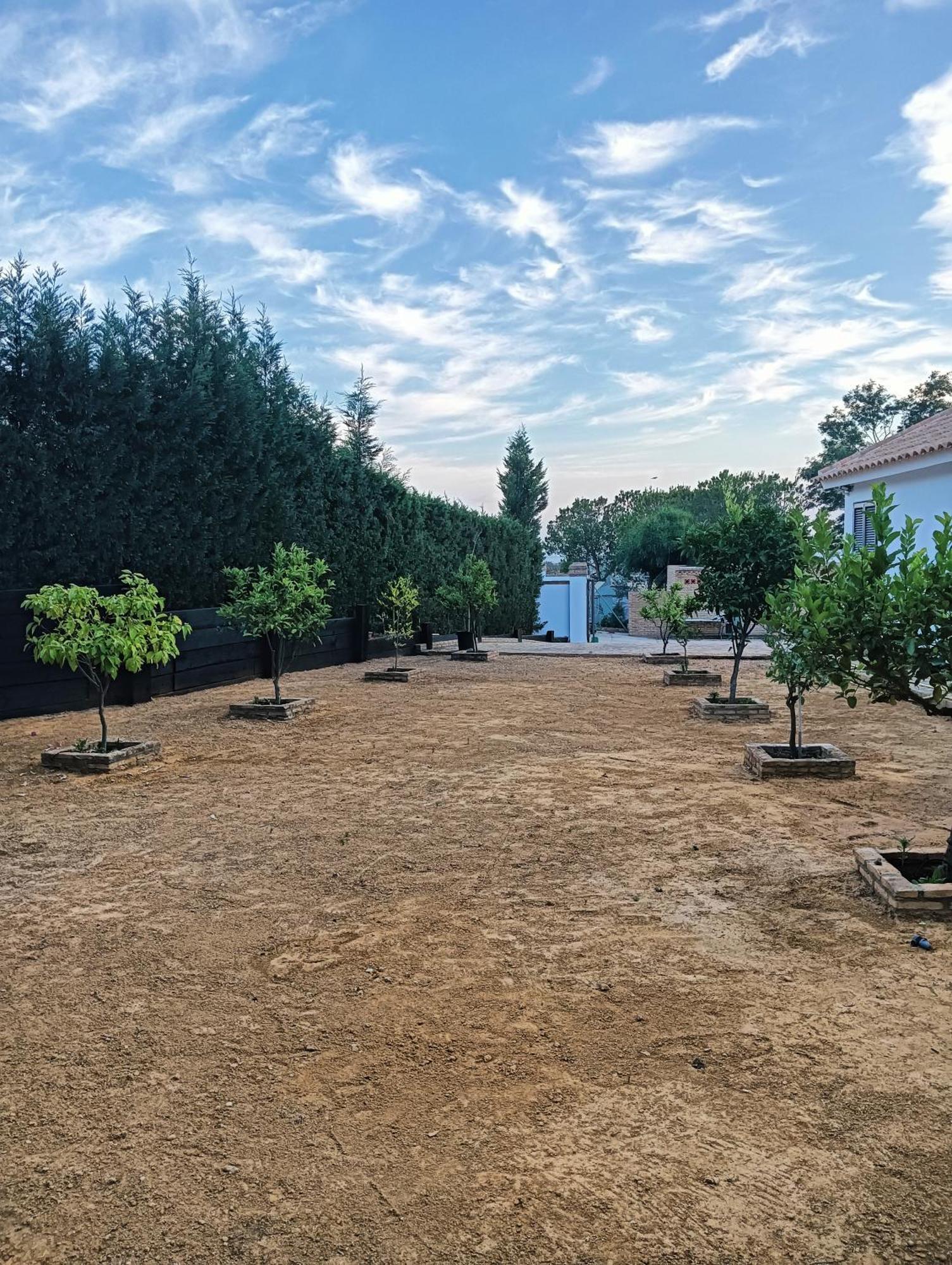 Finca Mis Morenas パロス・デ・ラ・フロンテーラ エクステリア 写真
