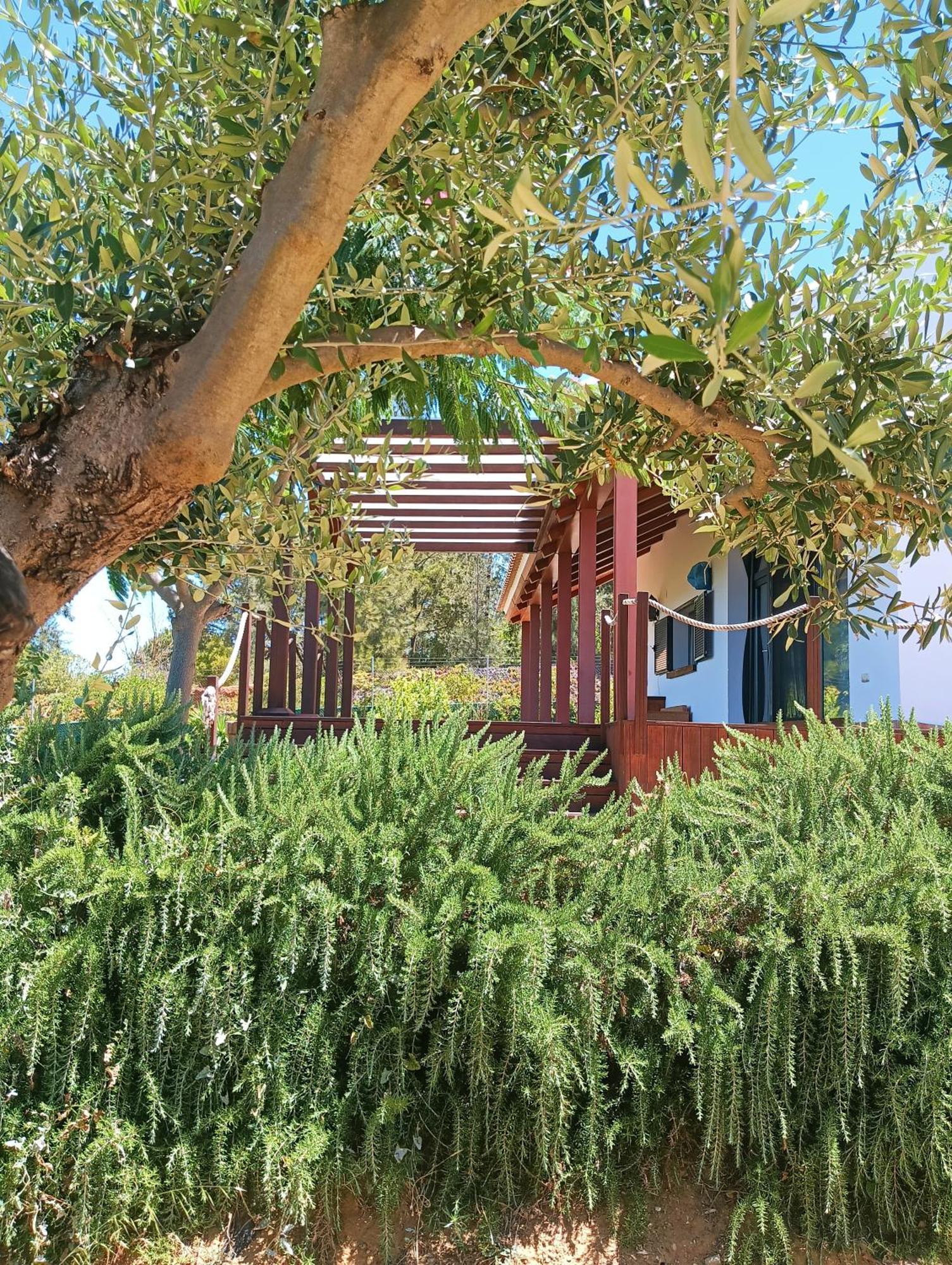 Finca Mis Morenas パロス・デ・ラ・フロンテーラ エクステリア 写真