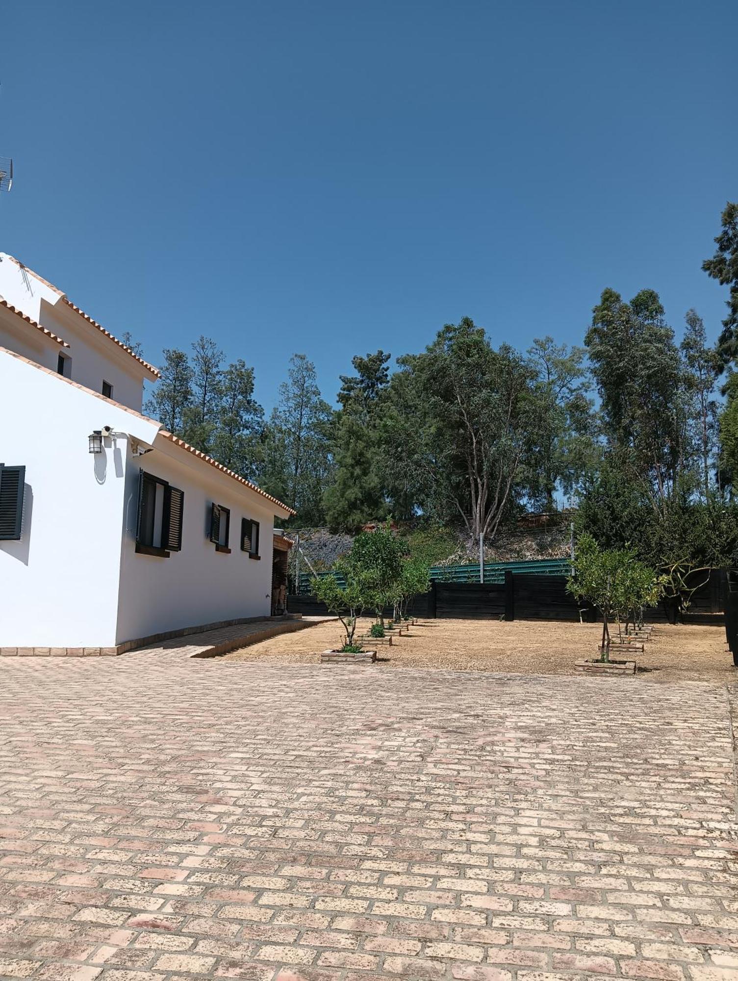 Finca Mis Morenas パロス・デ・ラ・フロンテーラ エクステリア 写真